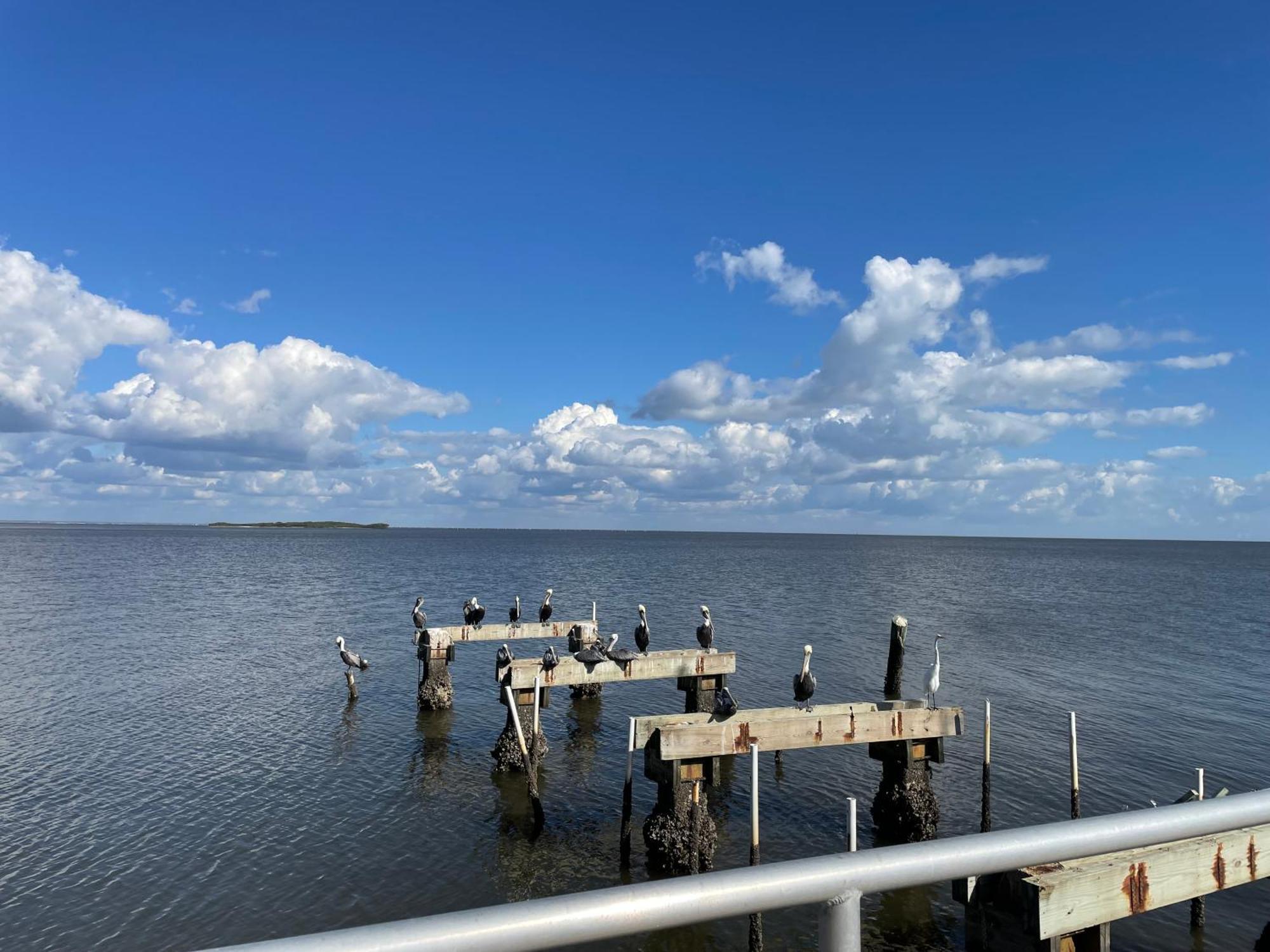 Cedar Key Florida Condo At Park Place Εξωτερικό φωτογραφία
